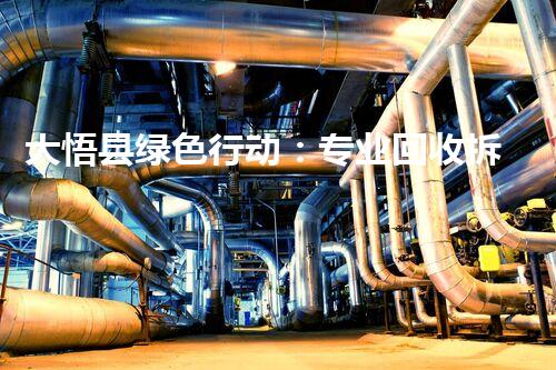 大悟县绿色行动：专业回收拆除化工厂，守护绿水青山