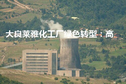 大良莱雅化工厂绿色转型：高效安全拆除启动在即，期待环保新篇章